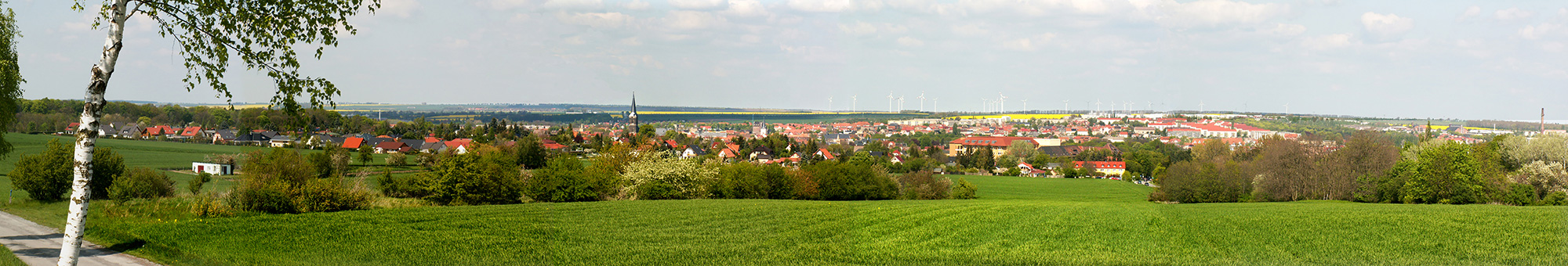 Stadt Aschersleben von Süden Von Eltharion - Eigenes Werk, CC BY-SA 3.0
